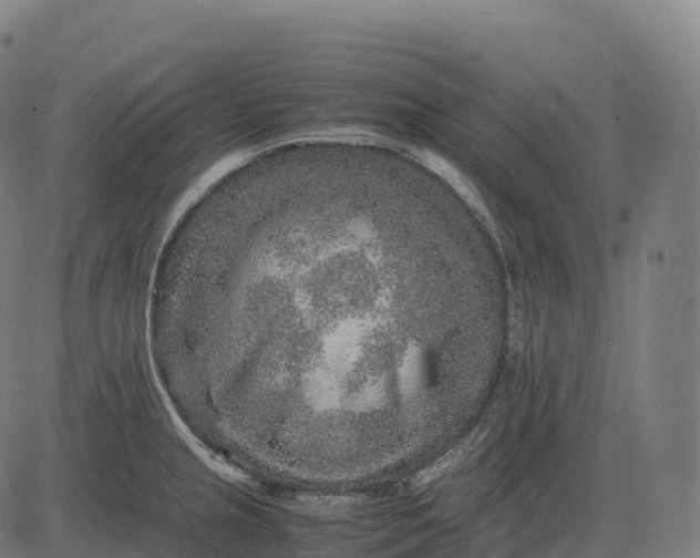 X0000082721237200702091804