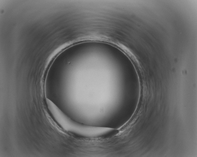 X0000082721238200702091804