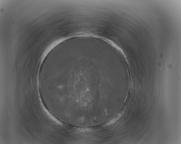 X0000082721239200702091804