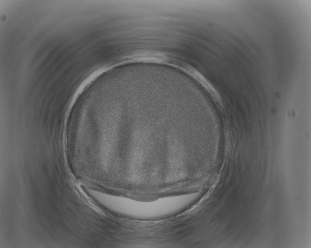 X0000082721240200702091804