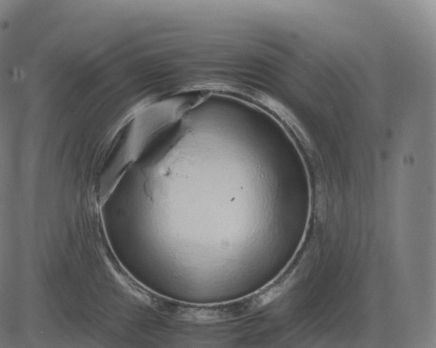 X0000082721241200702091804