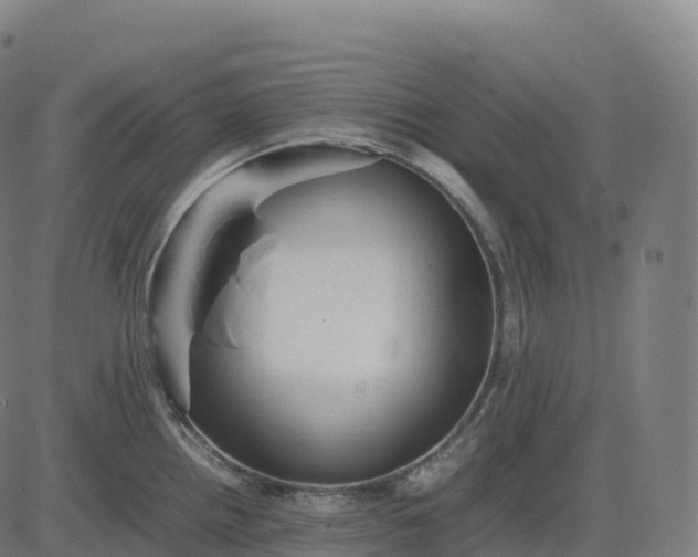 X0000082721242200702091805