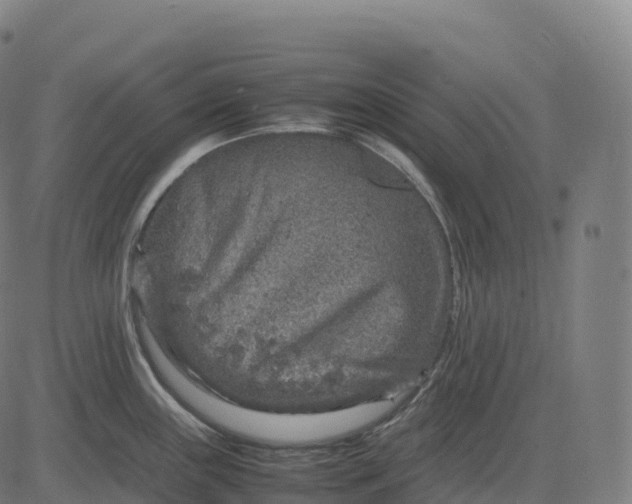 X0000082721243200702091805