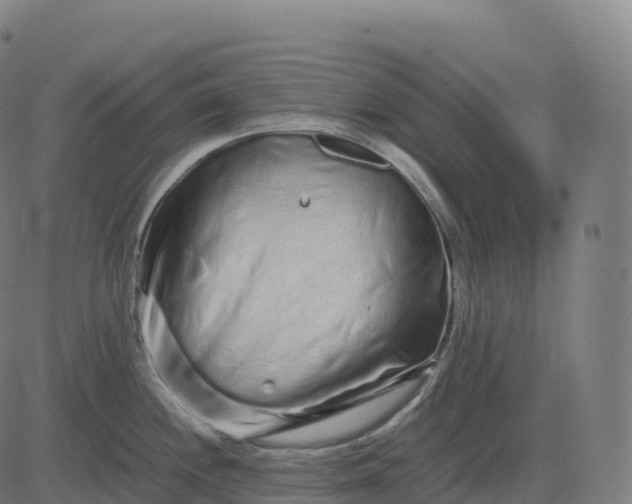 X0000082721244200702091805