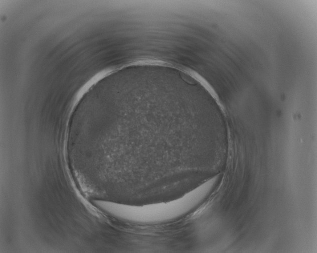 X0000082721245200702091805