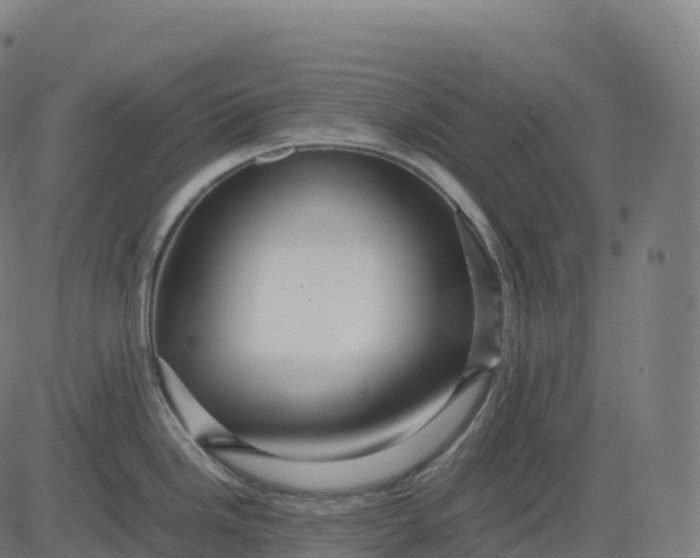 X0000082721246200702091805