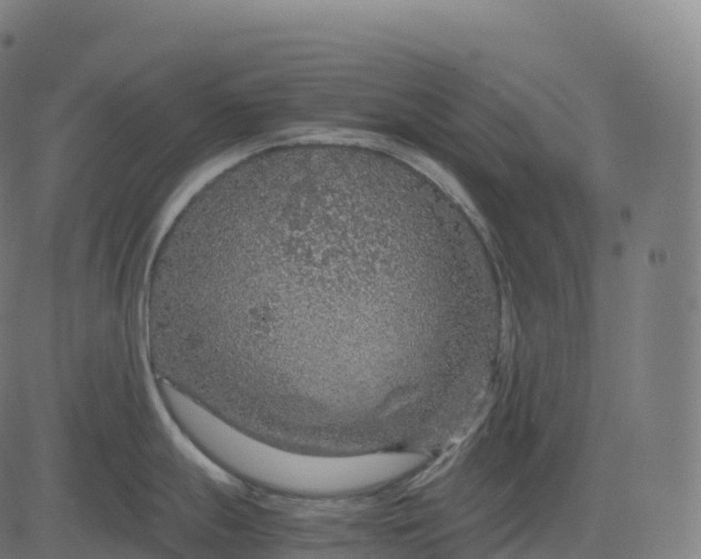 X0000082721247200702091805