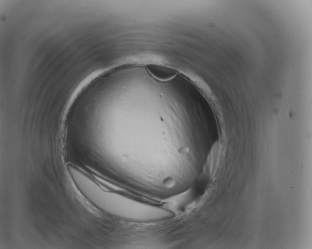 X0000082721248200702091805