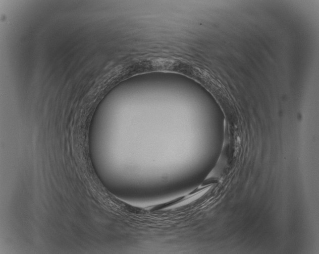 X0000082721249200702091804