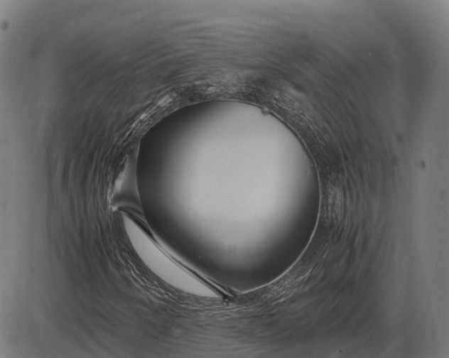 X0000082721250200702091804