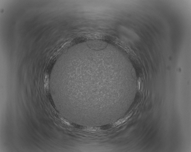 X0000082721251200702091804