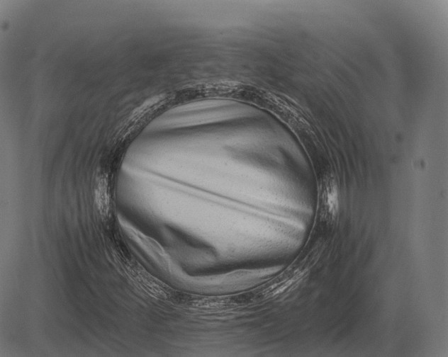 X0000082721252200702091804