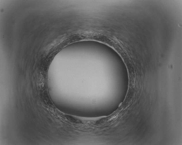 X0000082721253200702091804