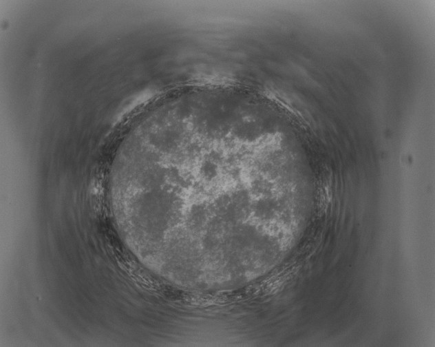 X0000082721254200702091804