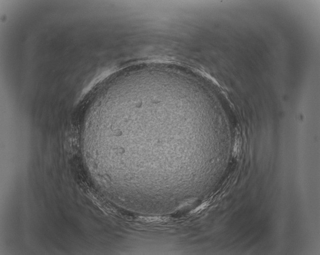 X0000082721255200702091804