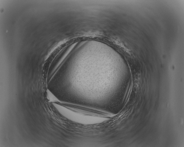 X0000082721256200702091804