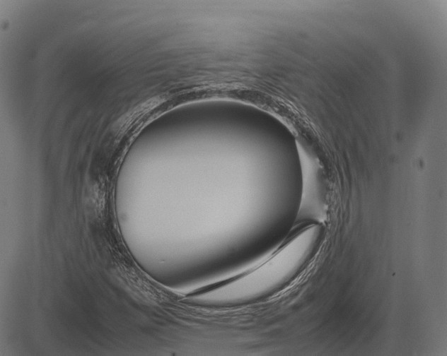 X0000082721257200702091804