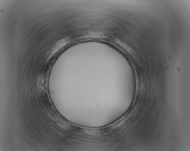 X0000082721258200702091804