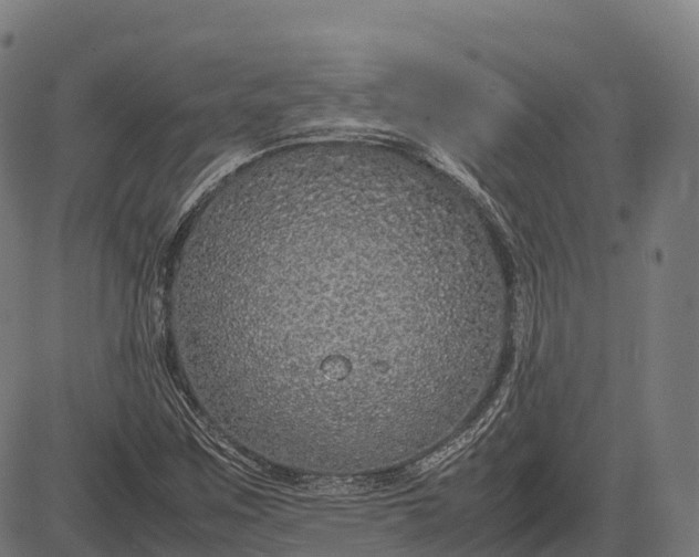 X0000082721259200702091804