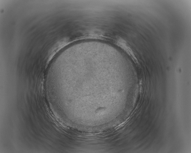 X0000082721260200702091804