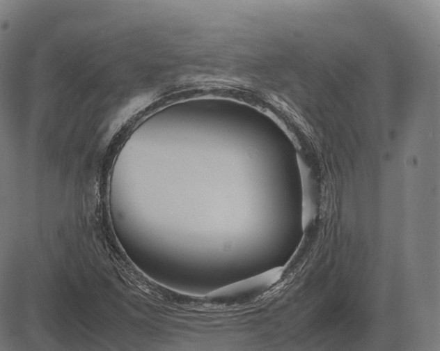 X0000082721261200702091804