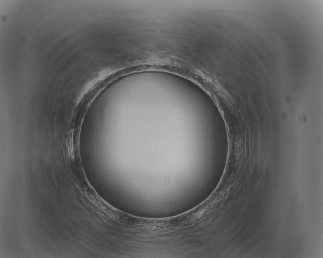 X0000082721262200702091804