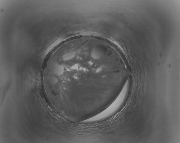 X0000082721263200702091804