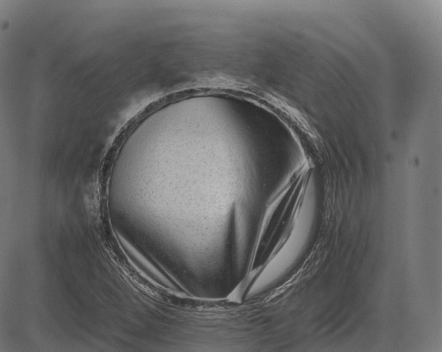 X0000082721264200702091804