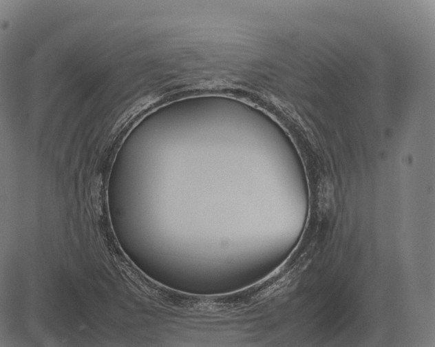 X0000082721265200702091804