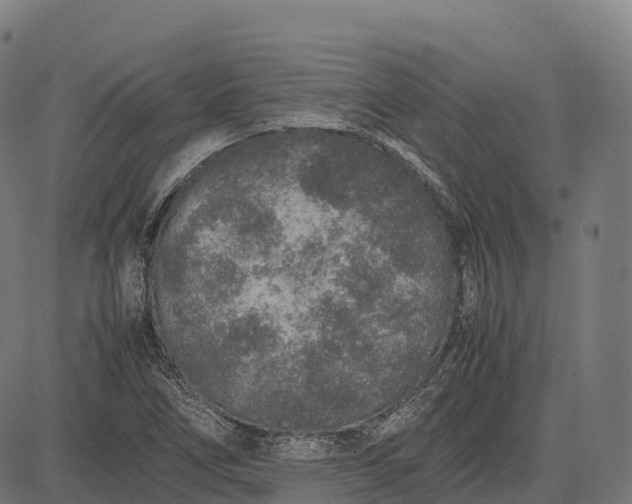 X0000082721266200702091804