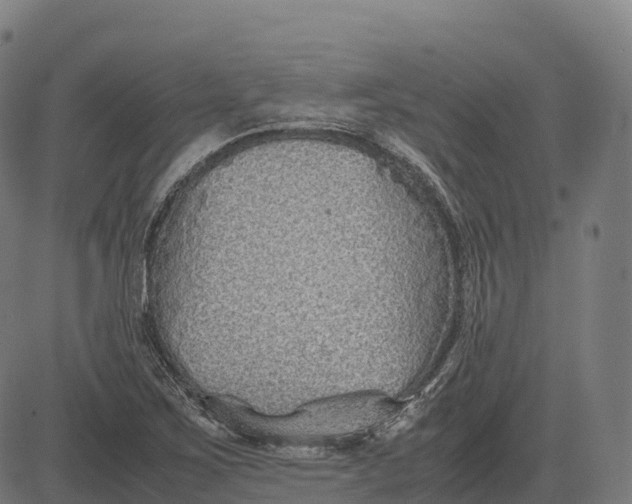 X0000082721267200702091804