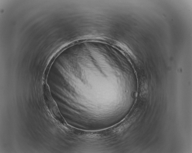 X0000082721268200702091804