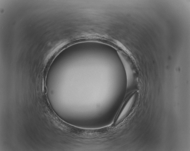 X0000082721269200702091804