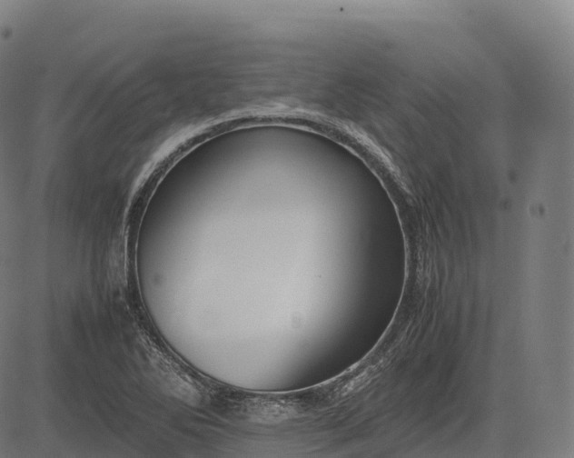 X0000082721270200702091803