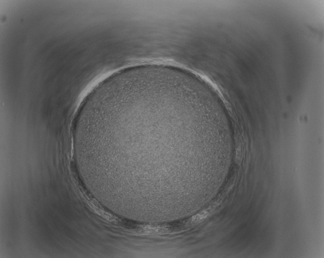 X0000082721271200702091803