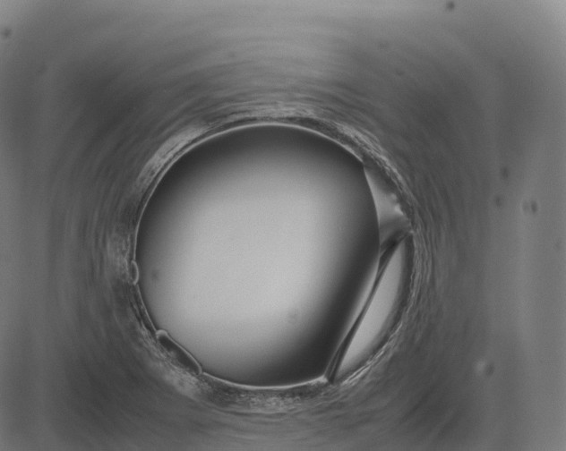 X0000082721273200702091803