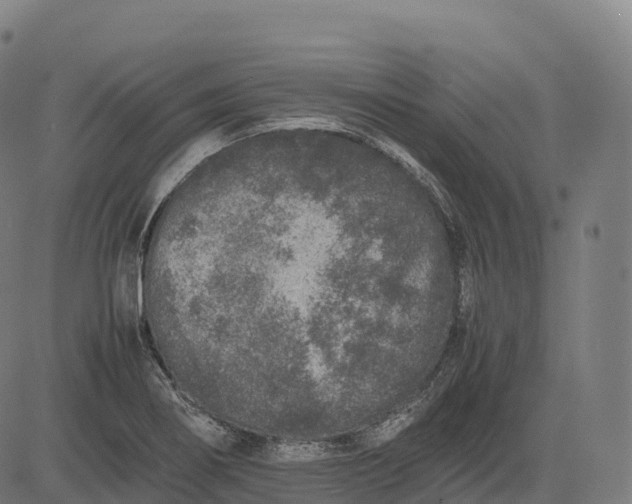 X0000082721274200702091803