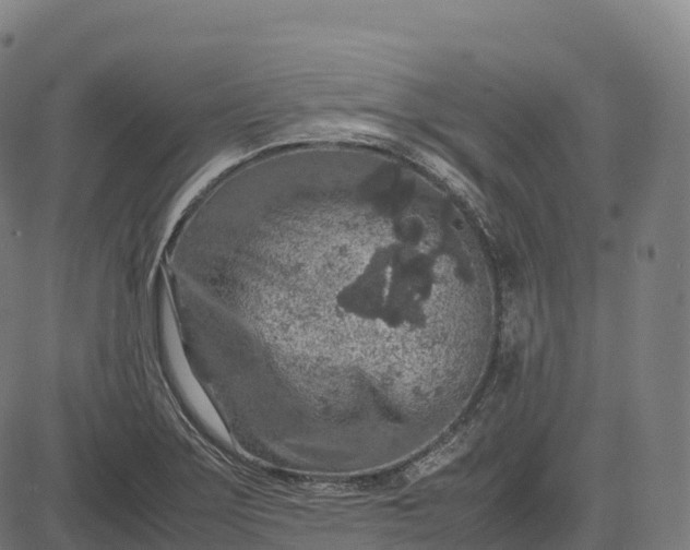 X0000082721275200702091803