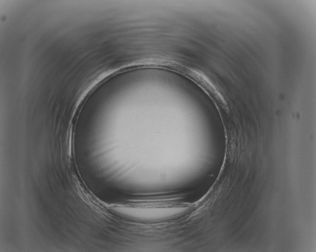 X0000082721276200702091803