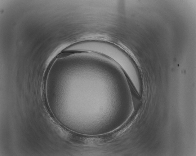 X0000082721277200702091803