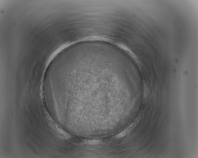 X0000082721278200702091803