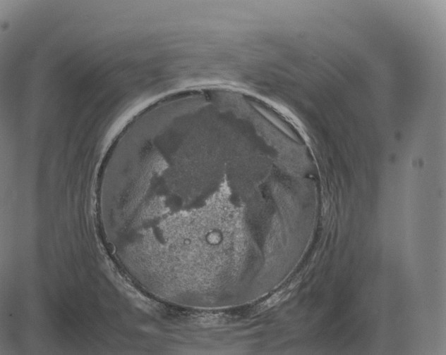 X0000082721279200702091803