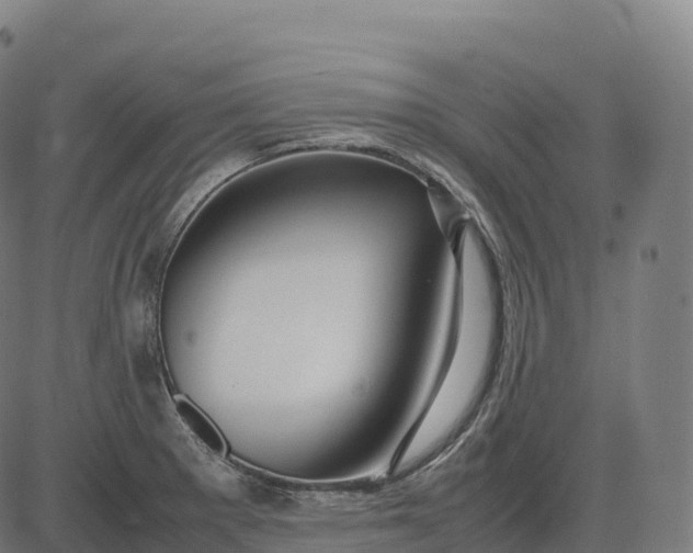 X0000082721281200702091803