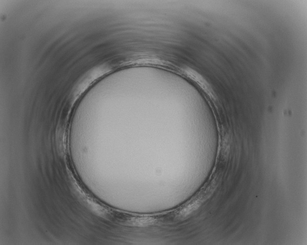 X0000082721282200702091803