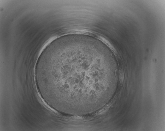 X0000082721283200702091803