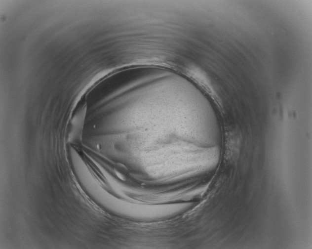 X0000082721284200702091803