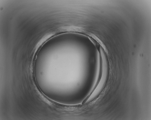 X0000082721285200702091803