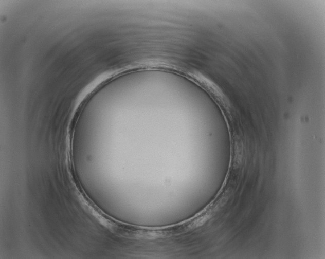 X0000082721286200702091803