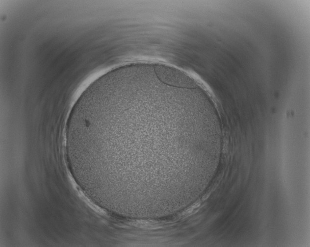 X0000082721287200702091803