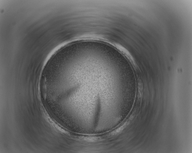 X0000082721288200702091803